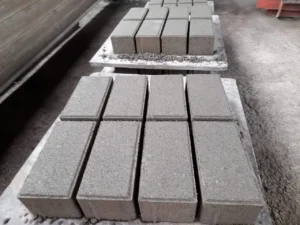 Produk Paving Bata 10x20